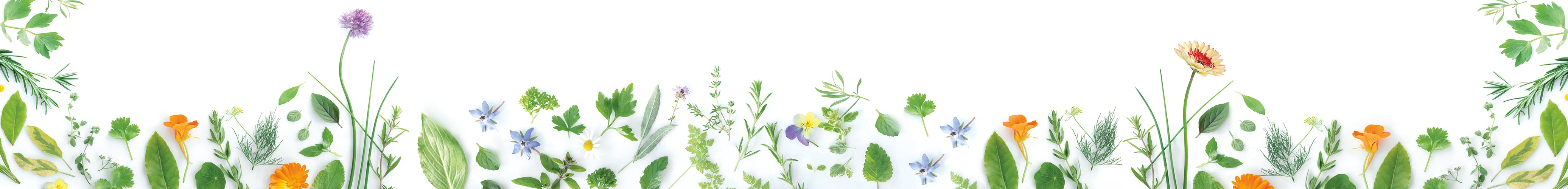 Customise your - Blüten & Kräuter