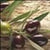 Rivestimento Cucina - Olive